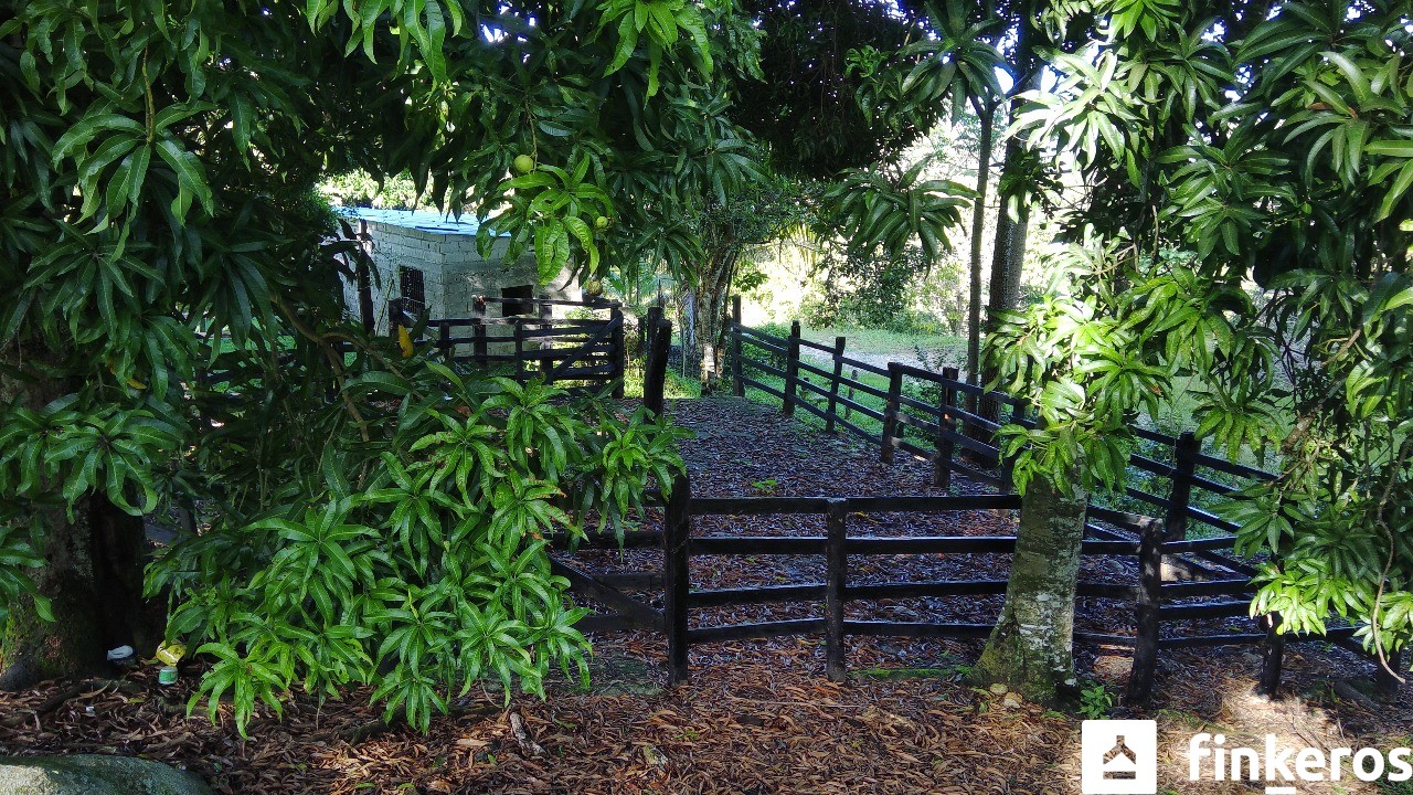 FINCA LA ROKA – finca en venta en Mariquita, Tolima